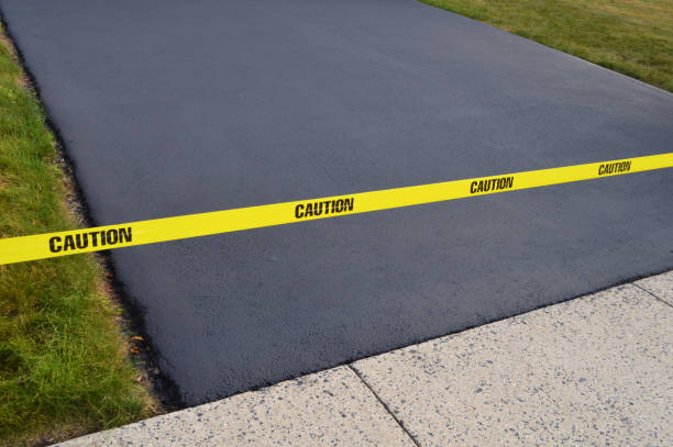 Best Driveway Drainage Solutions in Moorefield, WV